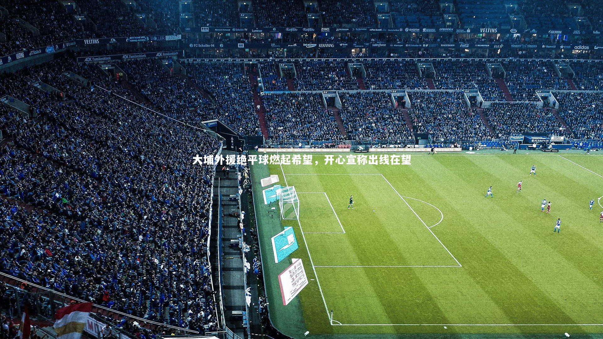 大埔外援绝平球燃起希望,开心宣称出线在望